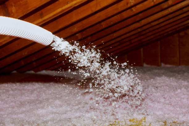 Best Cellulose Insulation  in Ingram, PA