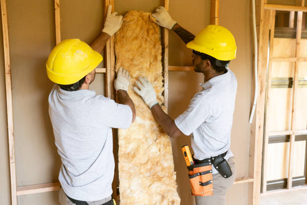 Best Insulation Replacement Services  in Ingram, PA