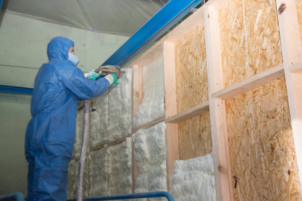 Best Insulation Replacement Services  in Ingram, PA